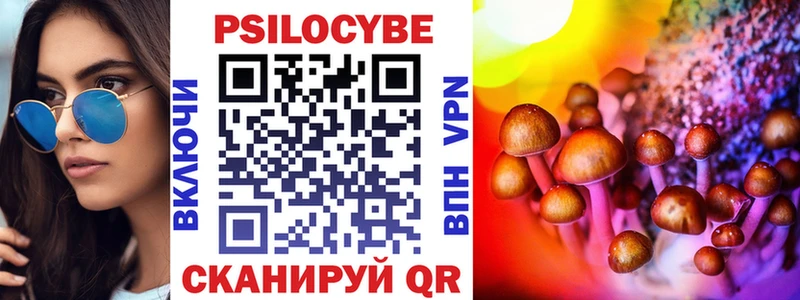 цены наркотик  Кирс  Галлюциногенные грибы Psilocybe 